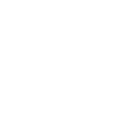 bermuda-white